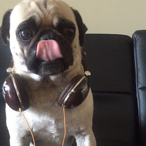 Meet your Posher, Ranie